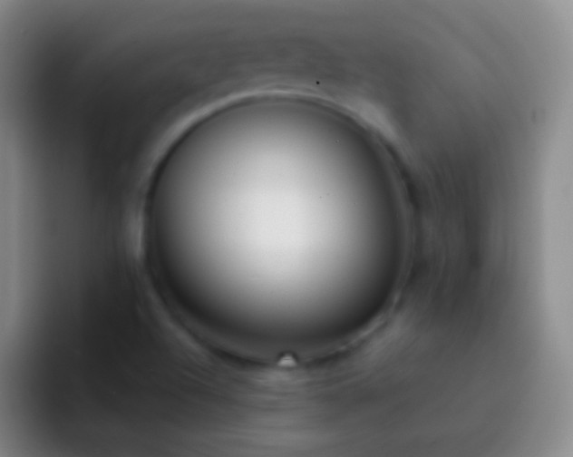 X0000092311504200709211240