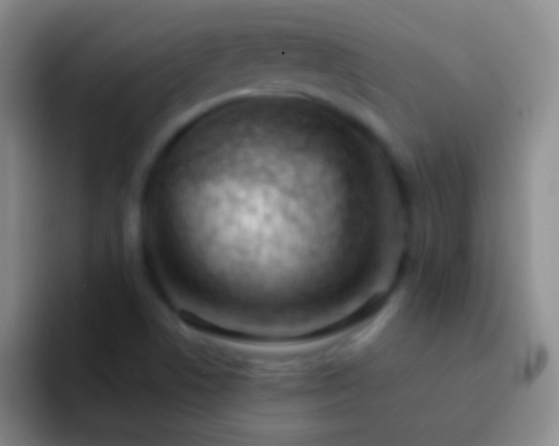 X0000092311506200709211240