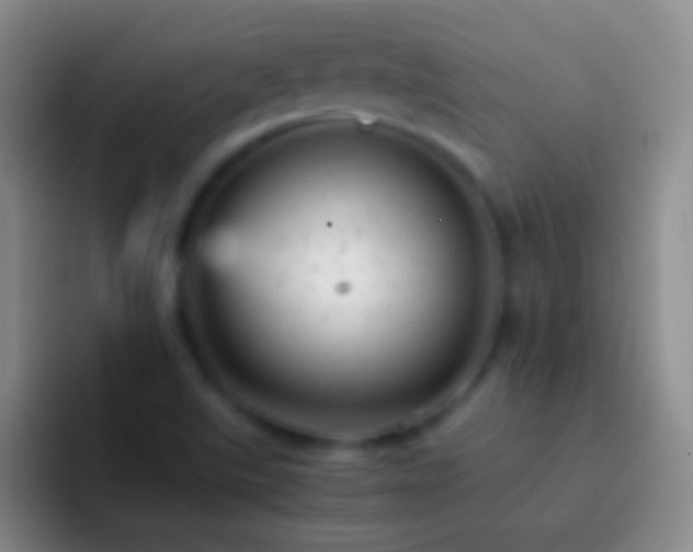 X0000092311507200709211240