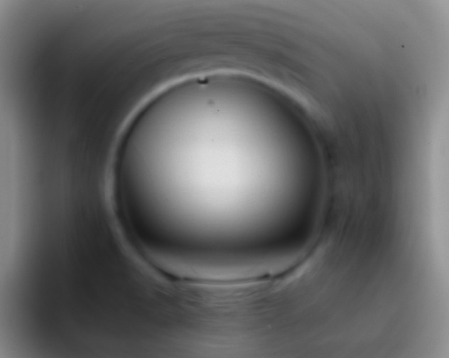 X0000092311518200709211240