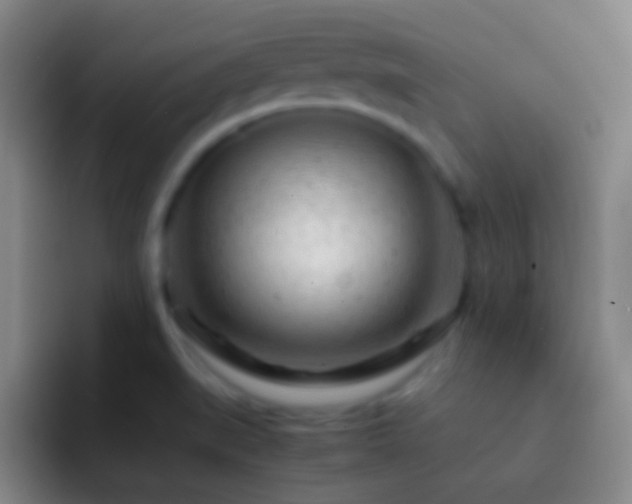 X0000092311519200709211240