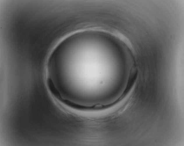 X0000092311520200709211240