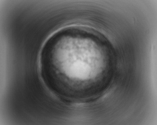 X0000092311522200709211240