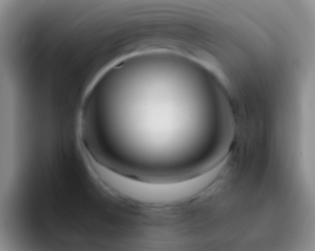 X0000092311524200709211240