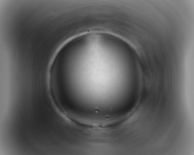 X0000092311527200709211240