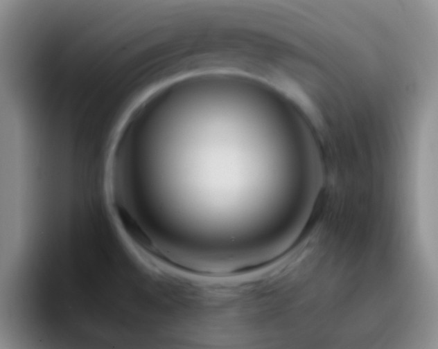 X0000092311528200709211240