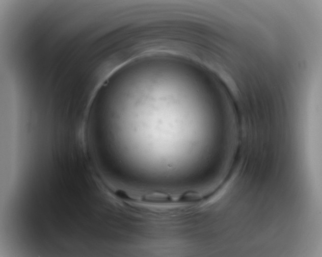 X0000092311529200709211240