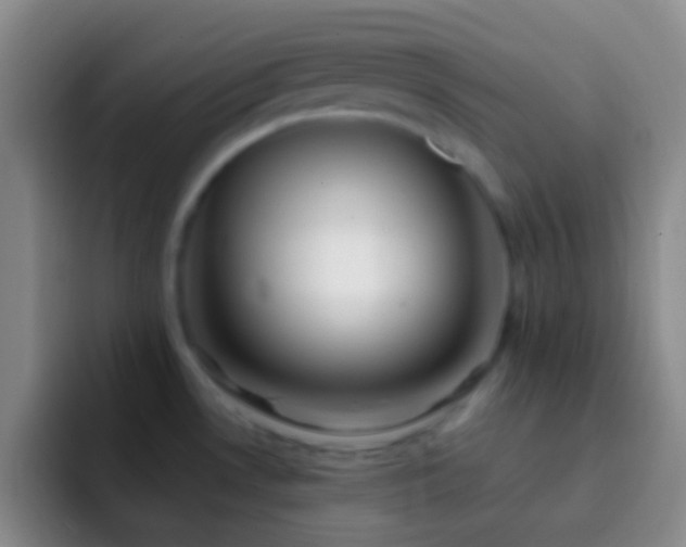 X0000092311530200709211240