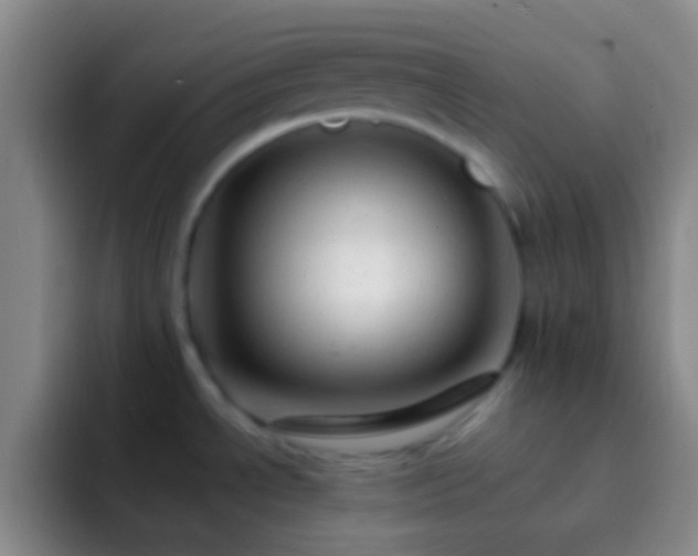 X0000092311534200709211240