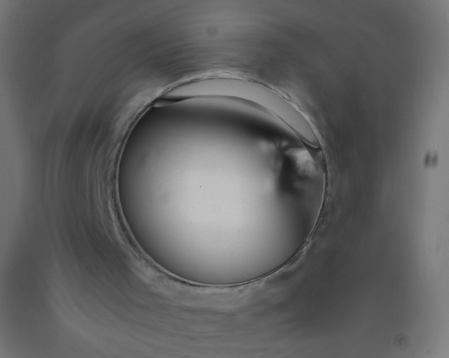 X0000092310001200709281355