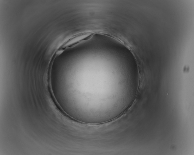 X0000092310002200709281355