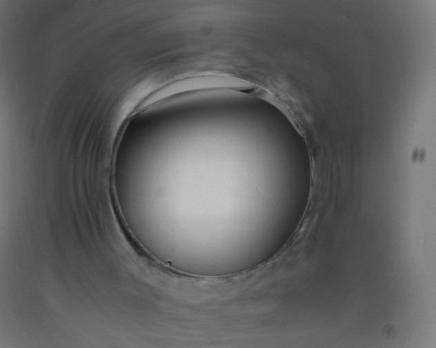 X0000092310003200709281355