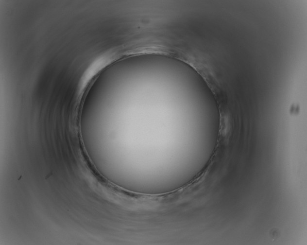 X0000092310004200709281355