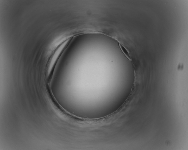 X0000092310005200709281355