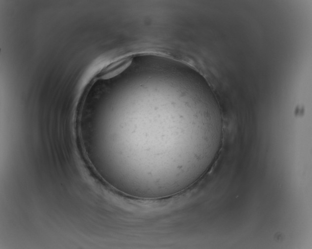 X0000092310006200709281355