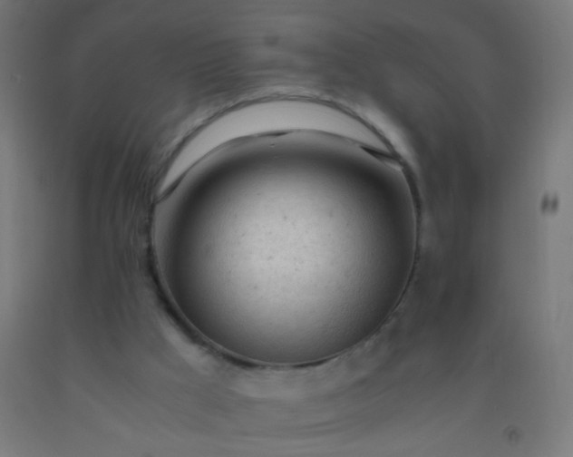 X0000092310009200709281355