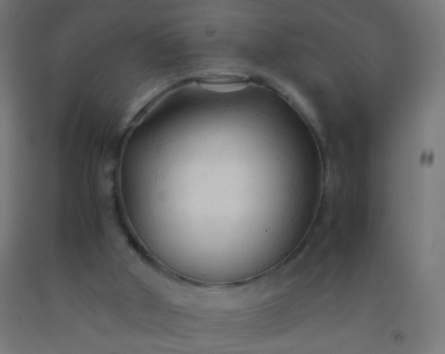 X0000092310010200709281355