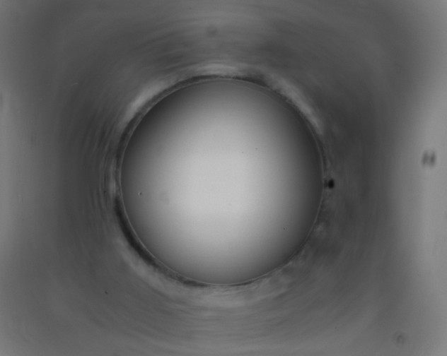X0000092310011200709281355