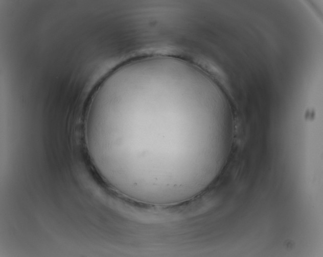 X0000092310012200709281355