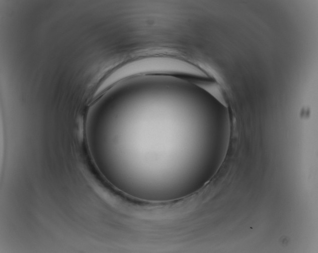X0000092310013200709281355