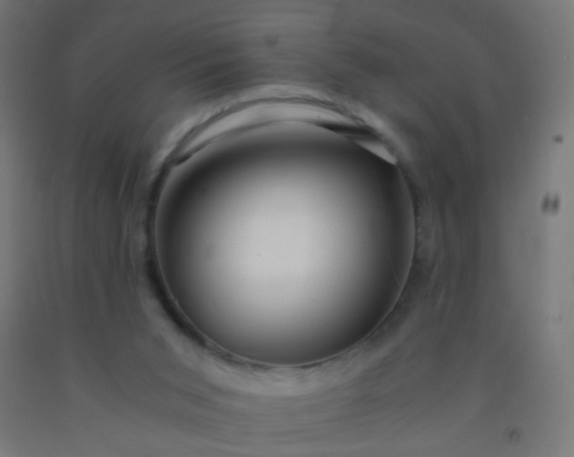 X0000092310015200709281355