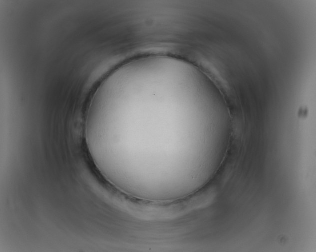 X0000092310016200709281355