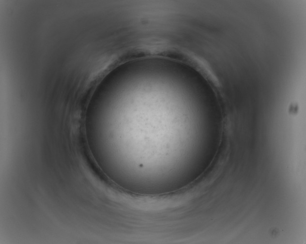 X0000092310018200709281355