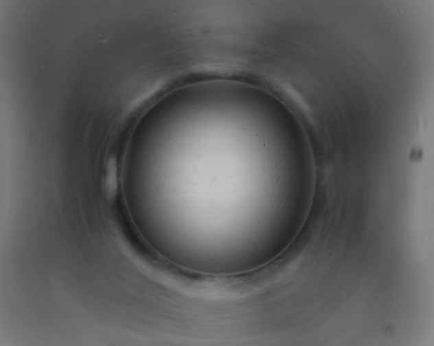 X0000092310020200709281355