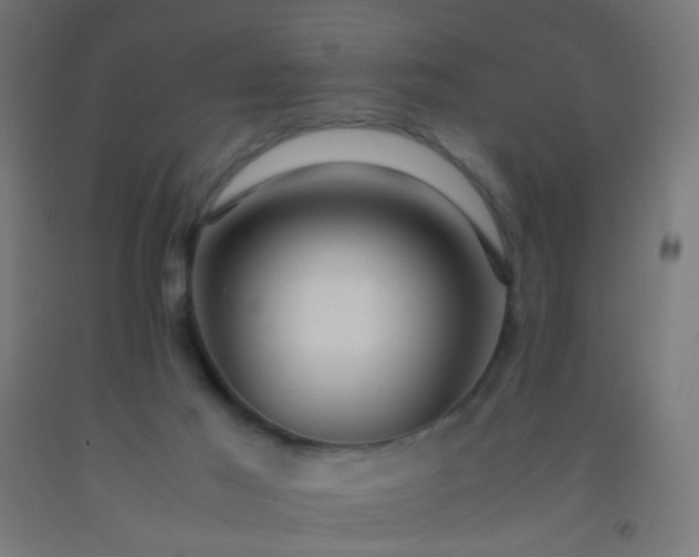 X0000092310021200709281355