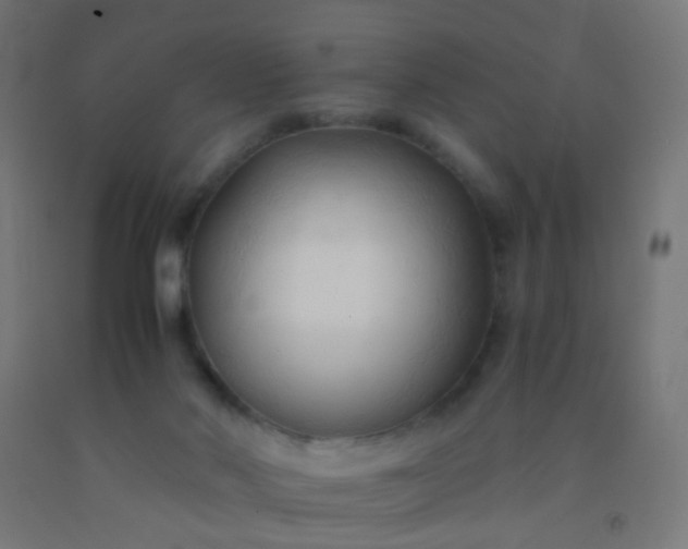 X0000092310022200709281355