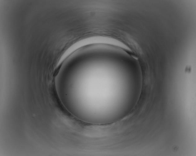 X0000092310025200709281355
