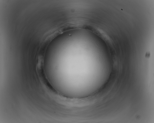 X0000092310026200709281355