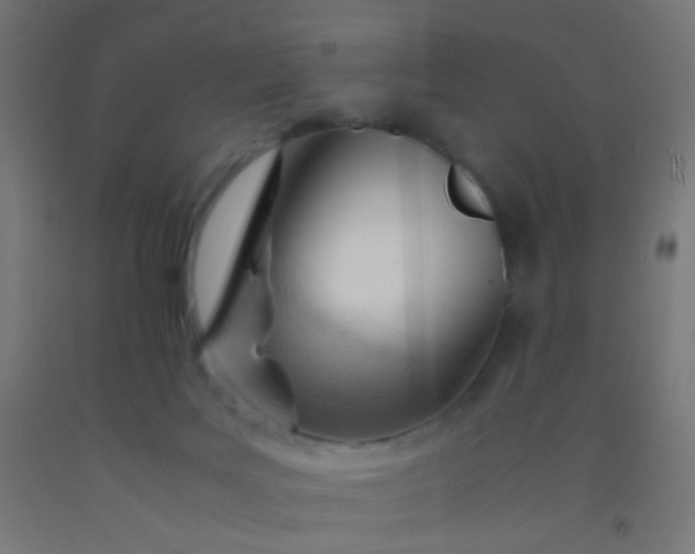 X0000092310027200709281355