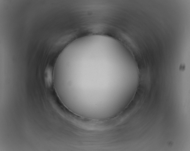 X0000092310028200709281355