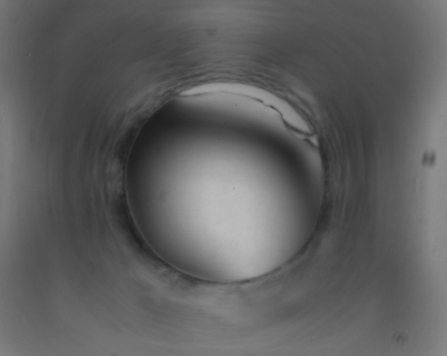 X0000092310029200709281355