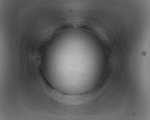 X0000092310030200709281355