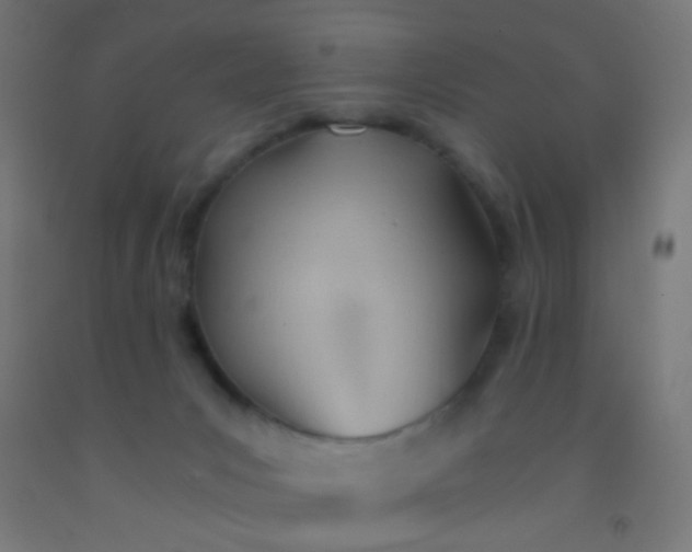 X0000092310031200709281355