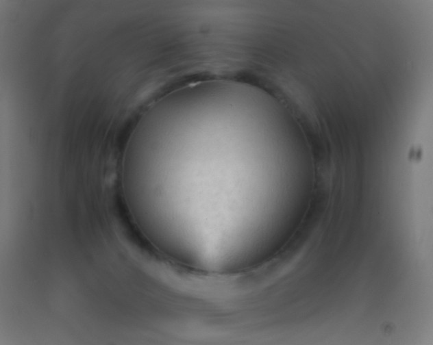 X0000092310032200709281355