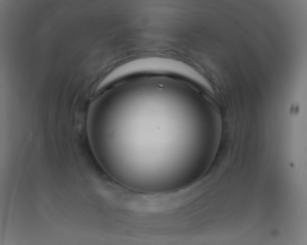 X0000092310033200709281355