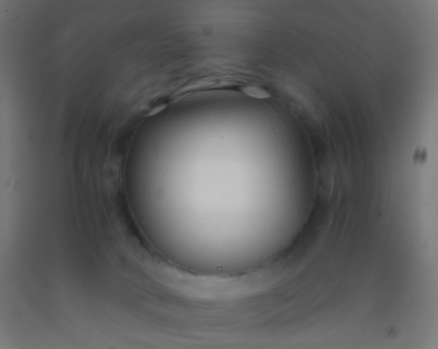 X0000092310034200709281355