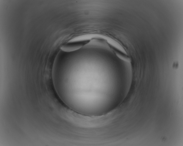 X0000092310035200709281355
