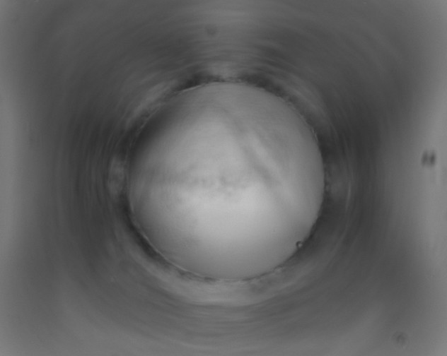 X0000092310036200709281355