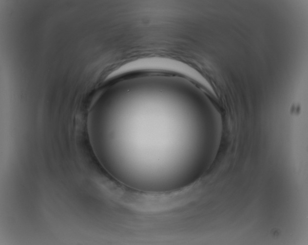 X0000092310037200709281355