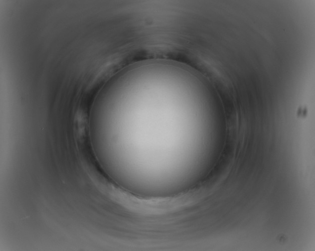 X0000092310038200709281355