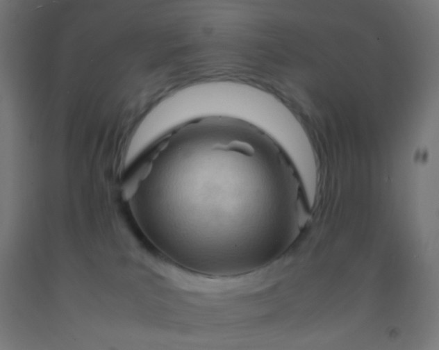 X0000092310039200709281355