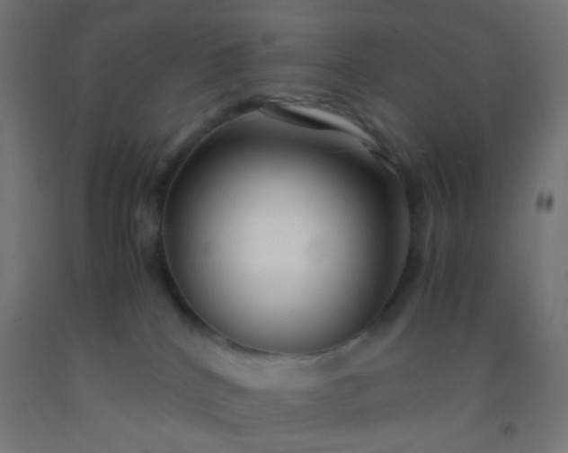 X0000092310040200709281355