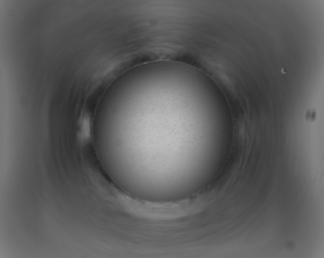 X0000092310042200709281355