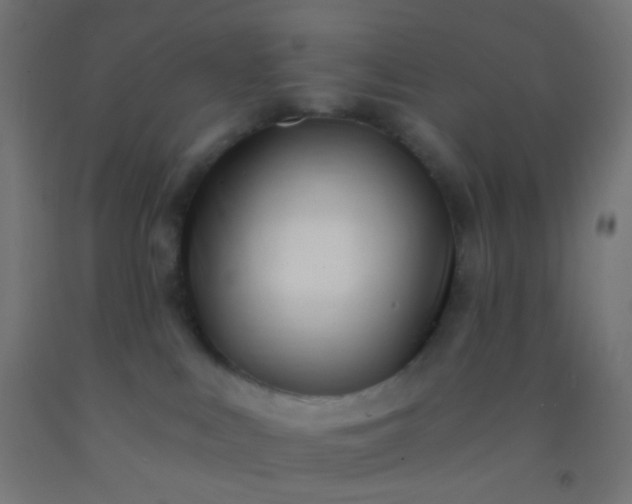 X0000092310043200709281355
