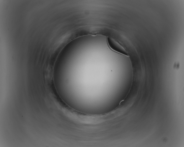 X0000092310044200709281355