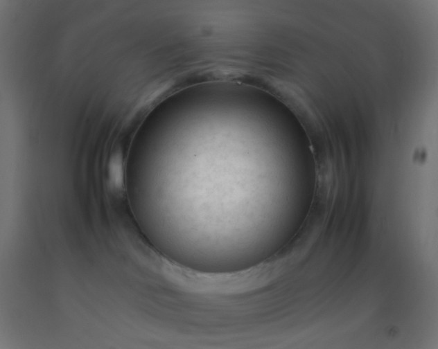X0000092310046200709281355